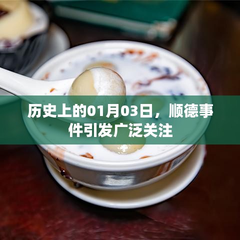 顺德事件揭秘,历史上的重大时刻 01月03日引发关注