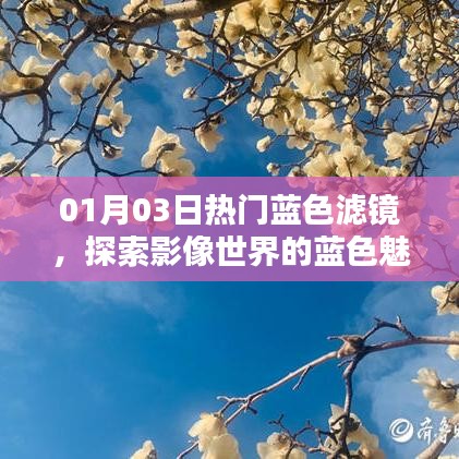 探索影像魅力，蓝色滤镜下的梦幻世界