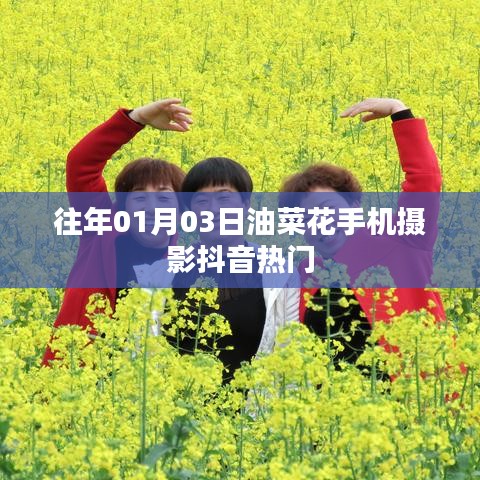 油菜花手机摄影抖音热门作品欣赏