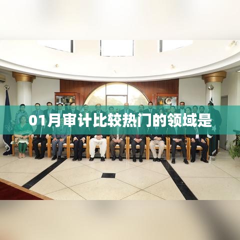 01月审计热门领域概览