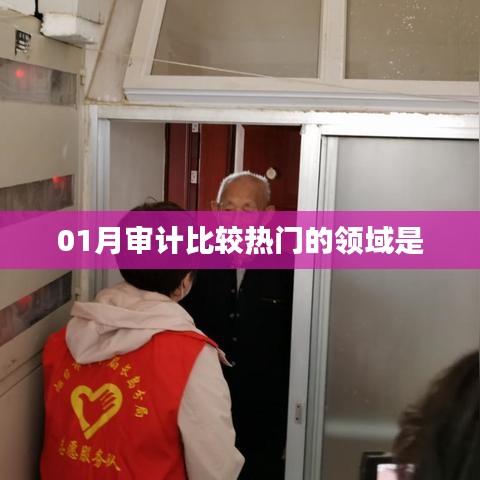 01月审计热门领域概览