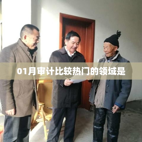 01月审计热门领域概览