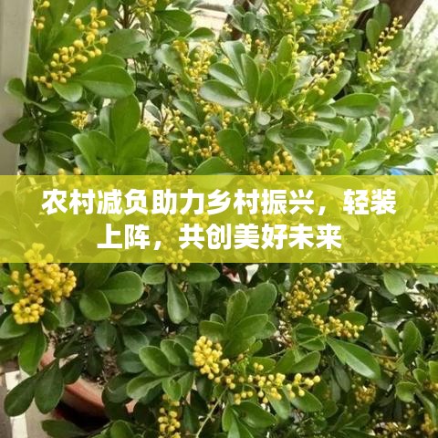 农村减负助力乡村振兴,轻装上阵,共创美好未来