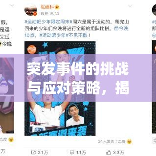 突发事件的挑战与应对策略，揭秘未知领域，探索应对之道