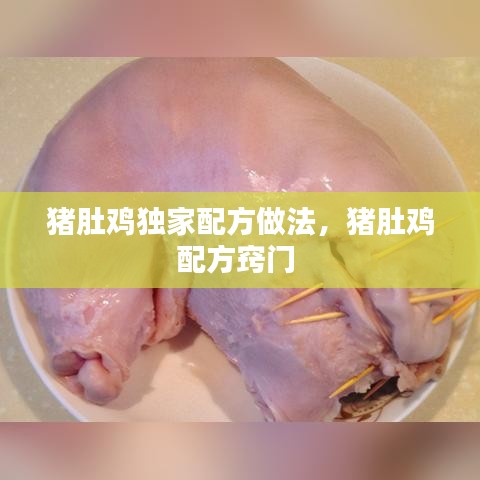 猪肚鸡独家配方做法,猪肚鸡配方窍门