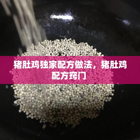 猪肚鸡独家配方做法,猪肚鸡配方窍门