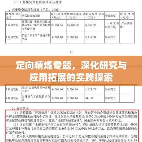 定向精炼专题,深化研究与应用拓展的实践探索
