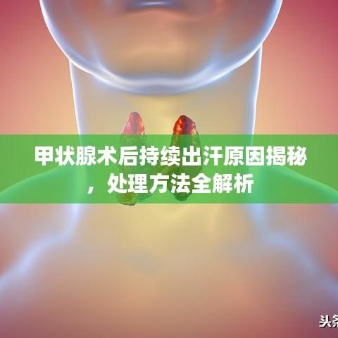 甲状腺术后持续出汗原因揭秘,处理方法全解析