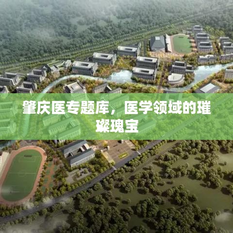 肇庆医专题库，医学领域的璀璨瑰宝