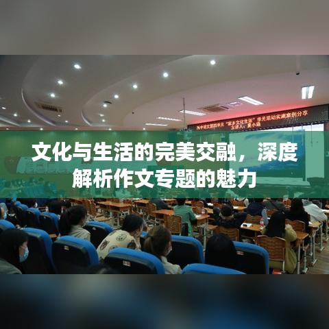 文化与生活的完美交融,深度解析作文专题的魅力