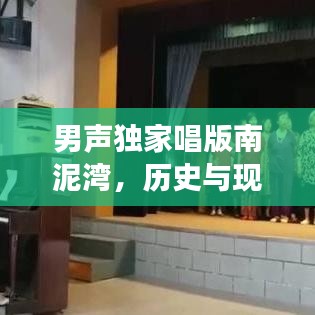 男声独家唱版南泥湾,历史与现代交融的韵味之音