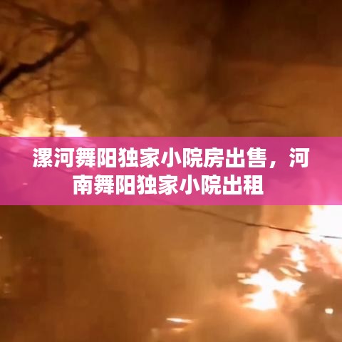 漯河舞阳独家小院房出售,河南舞阳独家小院出租