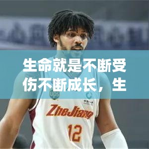 生命就是不断受伤不断成长,生命就是不断的折腾