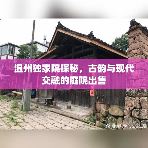 温州独家院探秘,古韵与现代交融的庭院出售