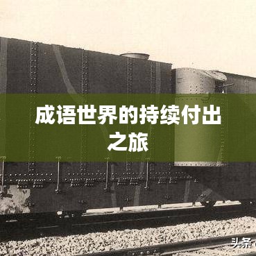 成语世界的持续付出之旅