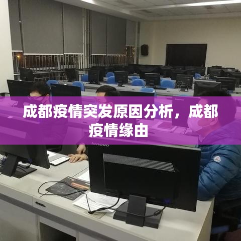 观往知来 第3页