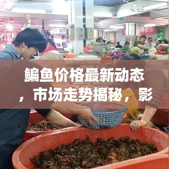 鳊鱼价格最新动态，市场走势揭秘，影响因素深度剖析