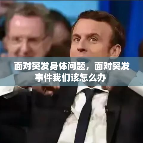 六鹢退飞 第3页