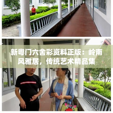 新粤门六舍彩资料正版：岭南风雅居，传统艺术精品集