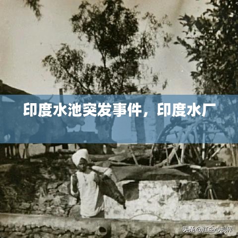 印度水池突发事件，印度水厂 