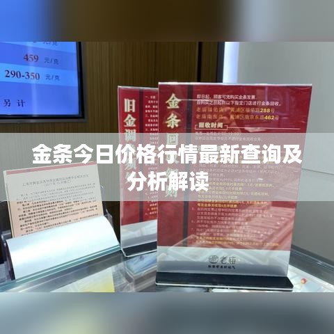 金条今日价格行情最新查询及分析解读