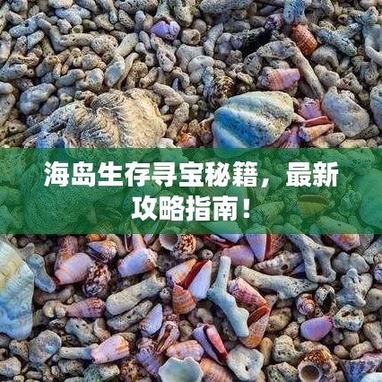 海岛生存寻宝秘籍,最新攻略指南!