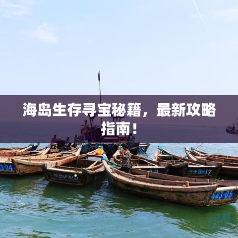 海岛生存寻宝秘籍,最新攻略指南!