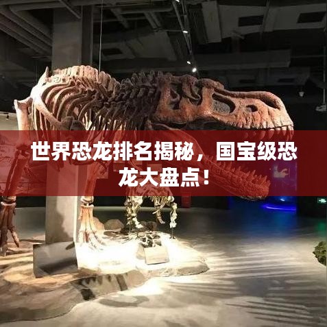 世界恐龙排名揭秘,国宝级恐龙大盘点!