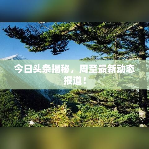 今日头条揭秘,周至最新动态报道!