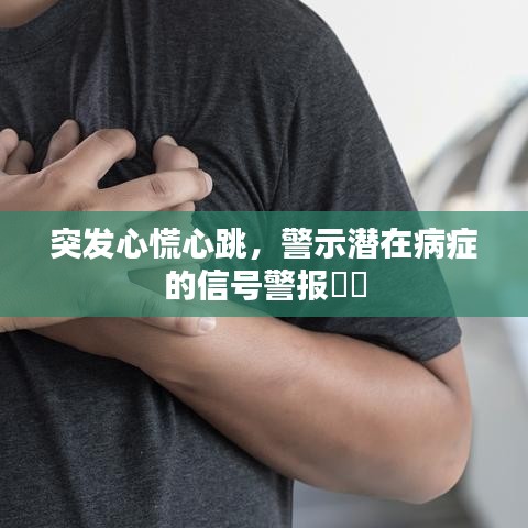 突发心慌心跳，警示潜在病症的信号警报⚠️
