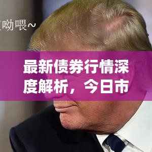 最新债券行情深度解析，今日市场动态一览