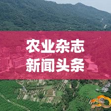 农业杂志新闻头条，农业现代化最新发展动态关注引领者