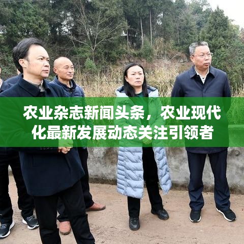 农业杂志新闻头条,农业现代化最新发展动态关注引领者