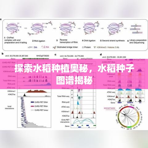 尘土飞扬 第3页