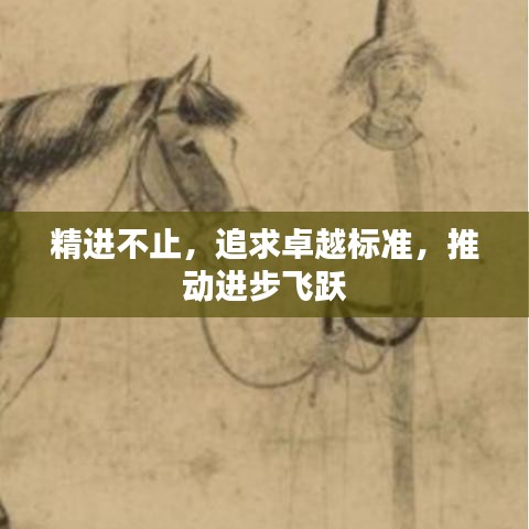 精进不止,追求卓越标准,推动进步飞跃