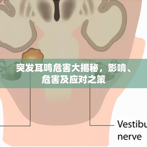 突发耳鸣危害大揭秘,影响、危害及应对之策