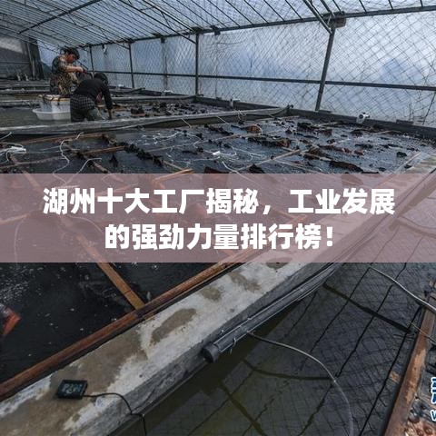 湖州十大工厂揭秘,工业发展的强劲力量排行榜!