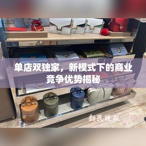 单店双独家，新模式下的商业竞争优势揭秘