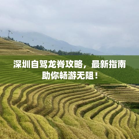 深圳自驾龙脊攻略,最新指南助你畅游无阻!