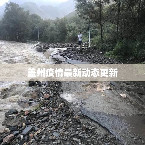 盖州疫情最新动态更新