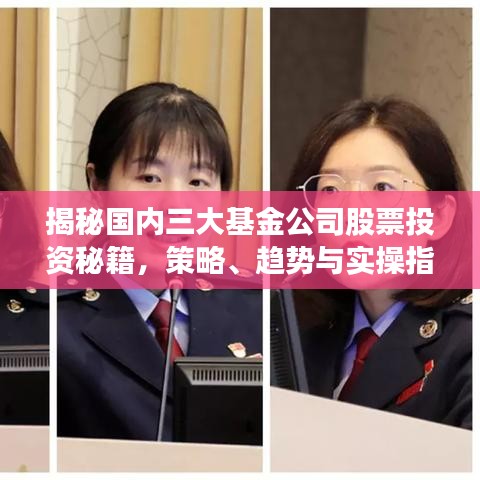 揭秘国内三大基金公司股票投资秘籍,策略、趋势与实操指南