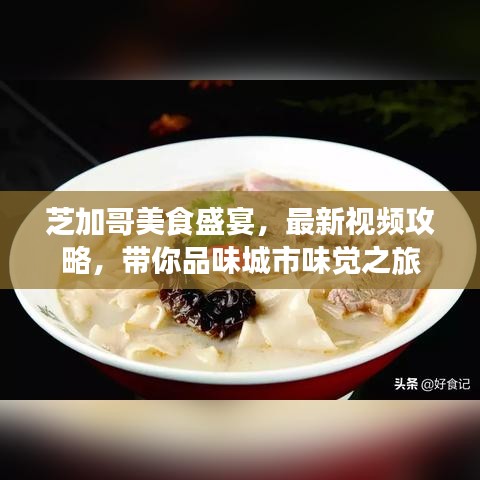 芝加哥美食盛宴，最新视频攻略，带你品味城市味觉之旅