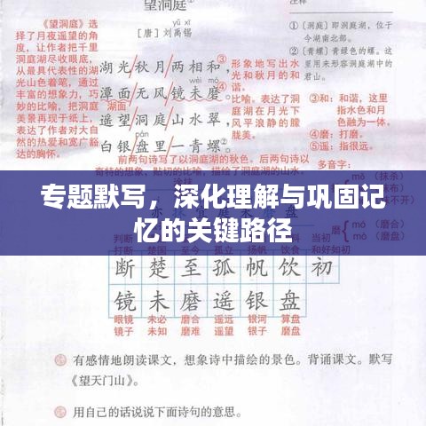 专题默写,深化理解与巩固记忆的关键路径