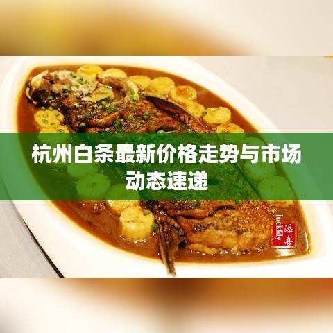 杭州白条最新价格走势与市场动态速递