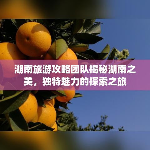 湖南旅游攻略团队揭秘湖南之美,独特魅力的探索之旅