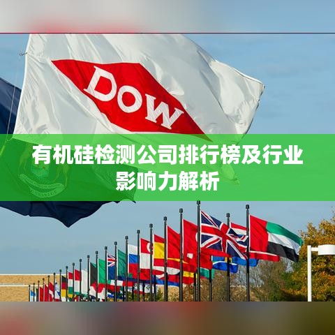 不求甚解 第3页