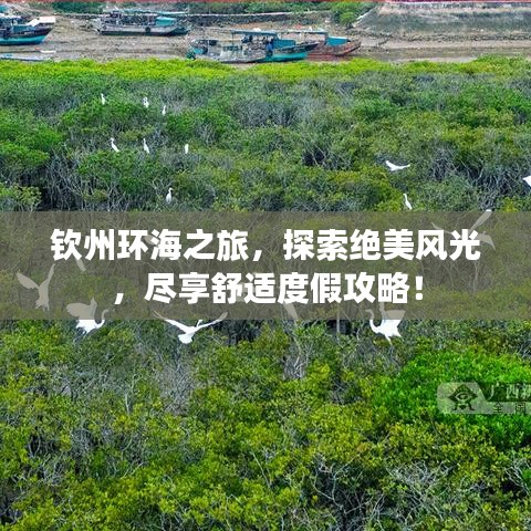 钦州环海之旅,探索绝美风光,尽享舒适度假攻略!
