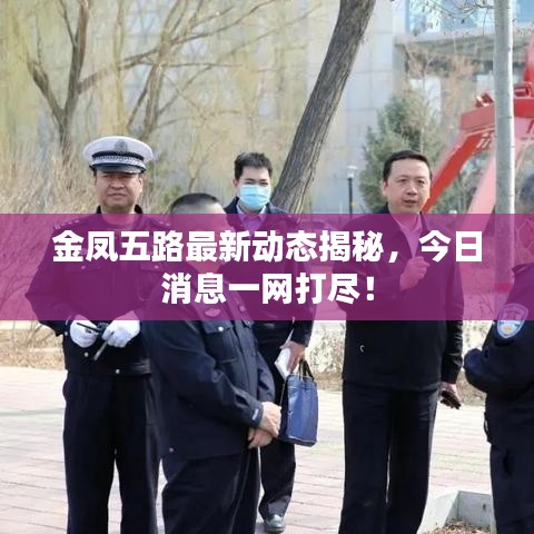 金凤五路最新动态揭秘,今日消息一网打尽!