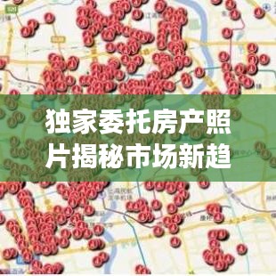 独家委托房产照片揭秘市场新趋势