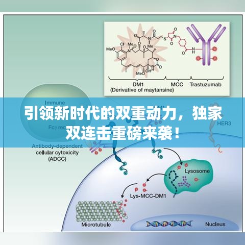 引领新时代的双重动力,独家双连击重磅来袭!